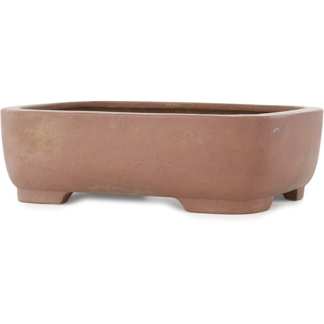 Maceta ovalada sin esmaltar para bonsái de Yamaaki - 277 x 210 x 85 mm