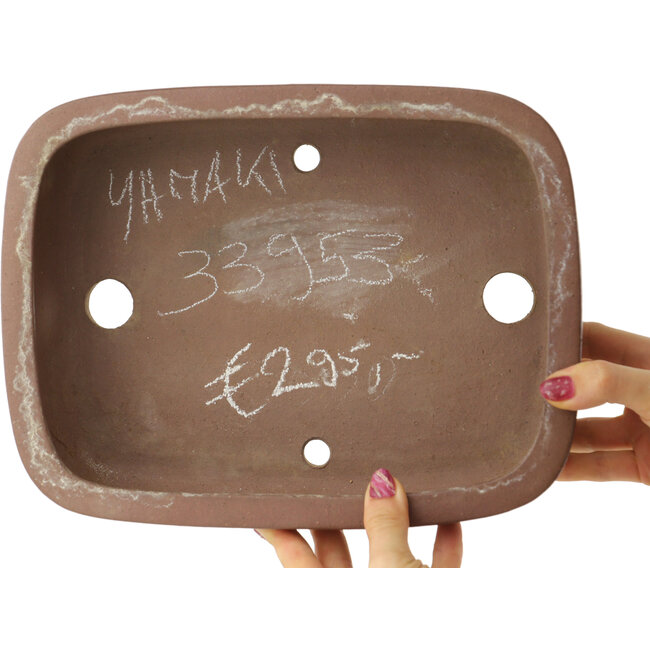 Maceta ovalada sin esmaltar para bonsái de Yamaaki - 277 x 210 x 85 mm
