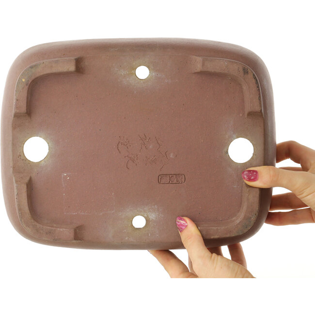 Maceta ovalada sin esmaltar para bonsái de Yamaaki - 277 x 210 x 85 mm