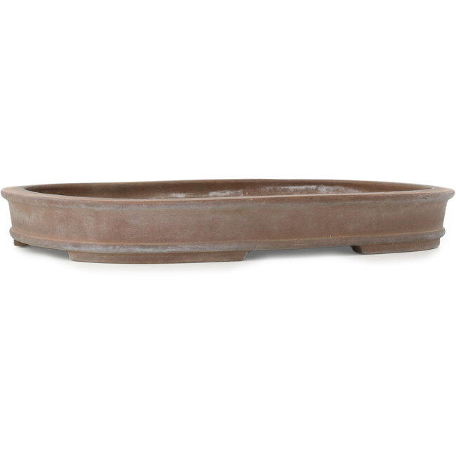 Maceta para bonsái ovalada sin esmaltar de Seizan - 390 x 280 x 48 mm