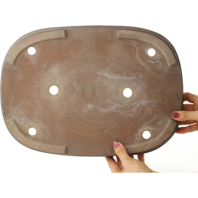 Ovale ongeglazuurde bonsaipot van Seizan - 390 x 280 x 48 mm