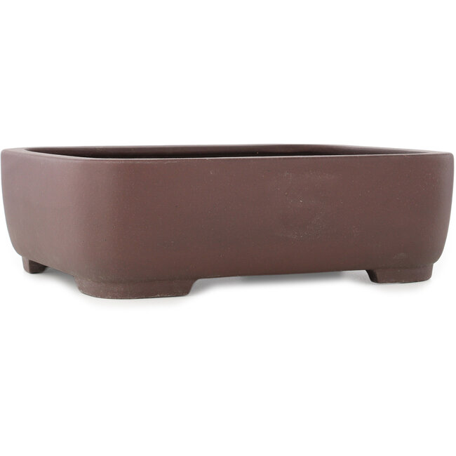 Maceta para bonsái ovalada sin esmaltar de Yamaaki - 380 x 307 x 110 mm