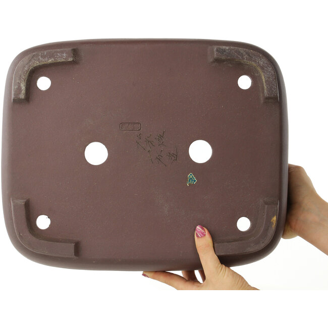 Ovaler unglasierter Bonsai-Topf von Yamaaki - 380 x 307 x 110 mm