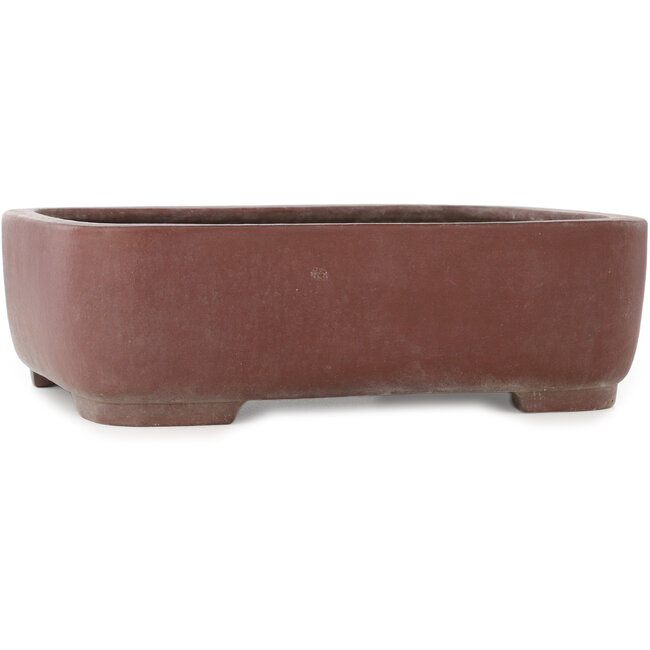 Maceta ovalada sin esmaltar para bonsái de Yamaaki - 375 x 300 x 115 mm