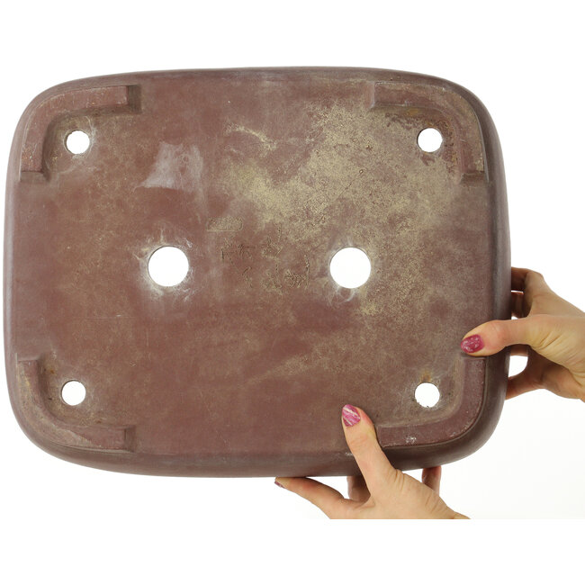 Maceta ovalada sin esmaltar para bonsái de Yamaaki - 375 x 300 x 115 mm