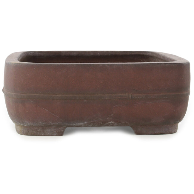 Maceta ovalada sin esmaltar para bonsái de Yamaaki - 405 x 312 x 110 mm