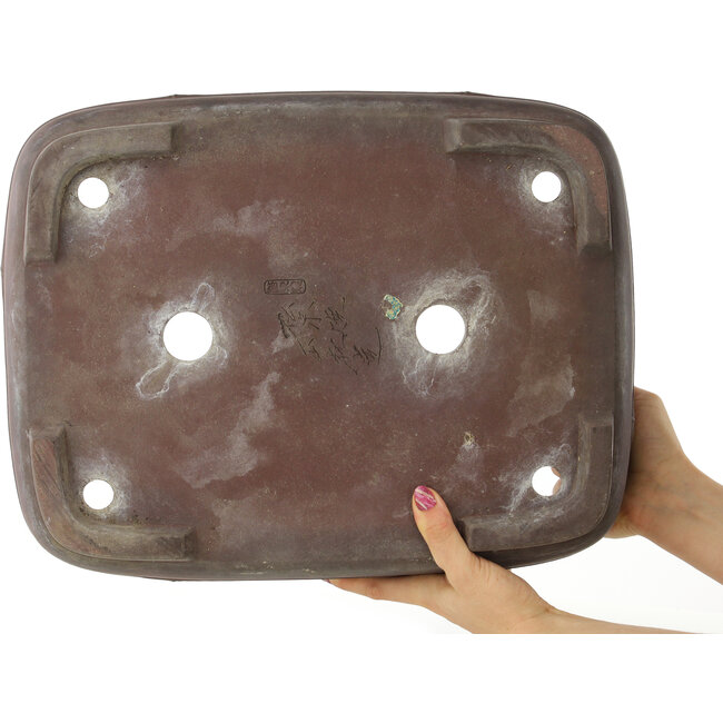 Pot à bonsaï ovale non émaillé de Yamaaki - 405 x 312 x 110 mm