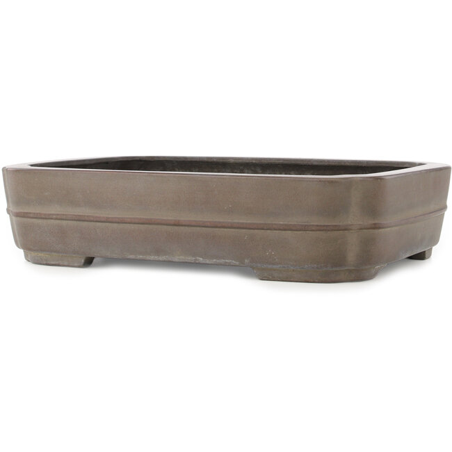 Vaso bonsai ovale non smaltato di Eiraku - 435 x 327 x 100 mm