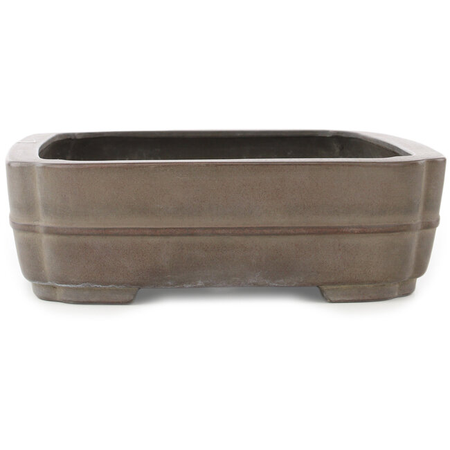 Pot à bonsaï ovale non émaillé par Eiraku - 435 x 327 x 100 mm