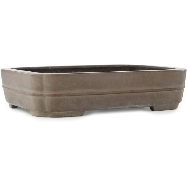 Oval unglazed bonsai pot by Eiraku - 435 x 327 x 100 mm