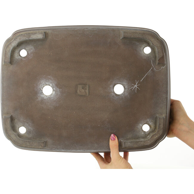 Maceta para bonsái ovalada sin esmaltar de Eiraku - 435 x 327 x 100 mm