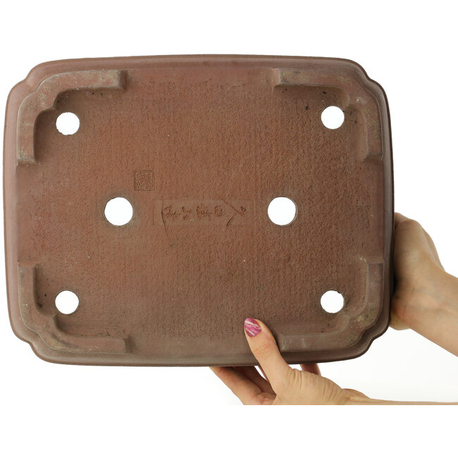 Pot à bonsaï ovale non émaillé de Keizan - 338 x 272 x 90 mm