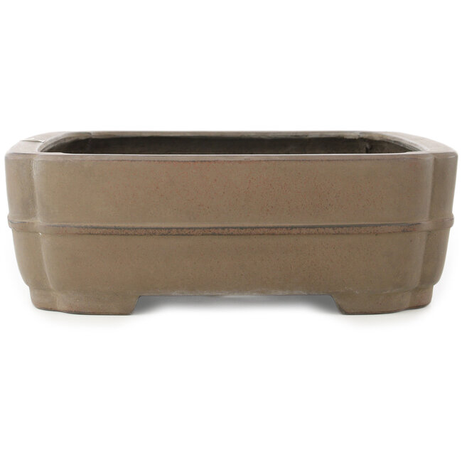 Vaso bonsai ovale non smaltato di Eiraku - 387 x 300 x 100 mm