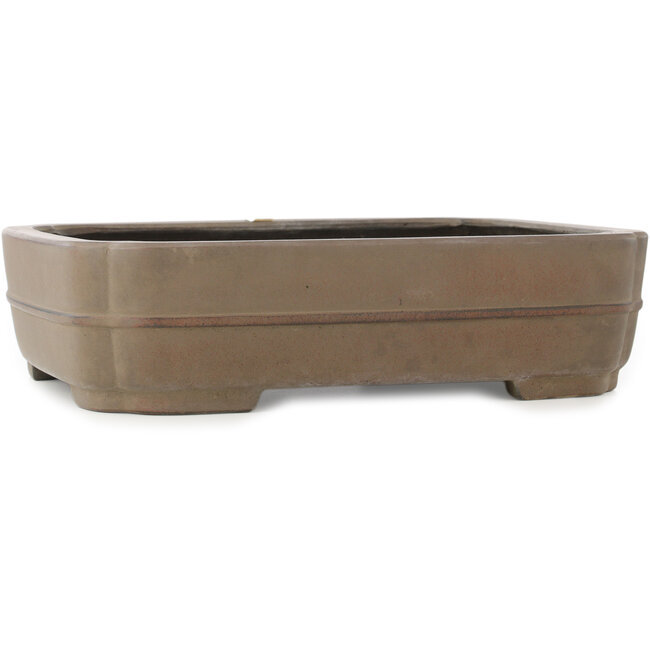 Vaso bonsai ovale non smaltato di Eiraku - 387 x 300 x 100 mm