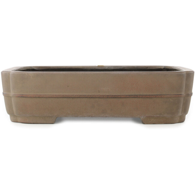 Maceta para bonsái ovalada sin esmaltar de Eiraku - 387 x 300 x 100 mm