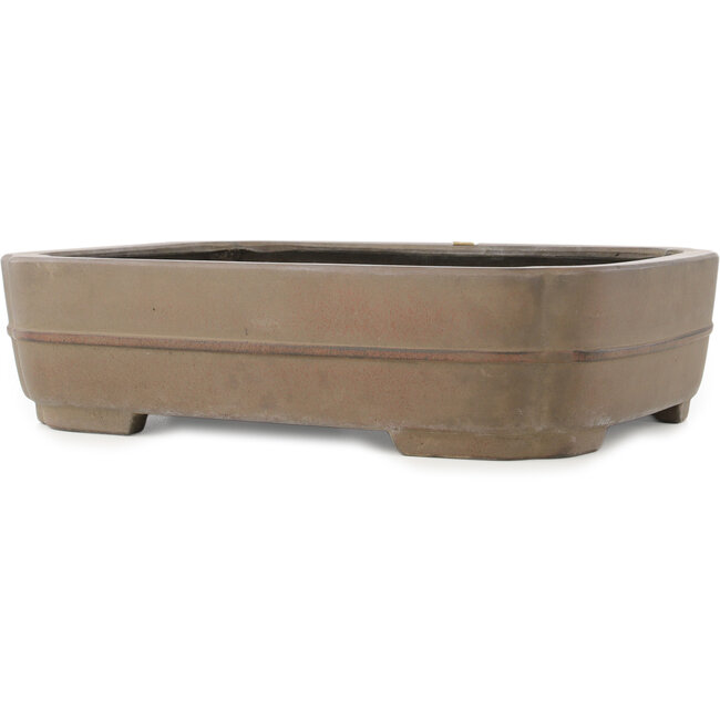 Pot à bonsaï ovale non émaillé par Eiraku - 387 x 300 x 100 mm