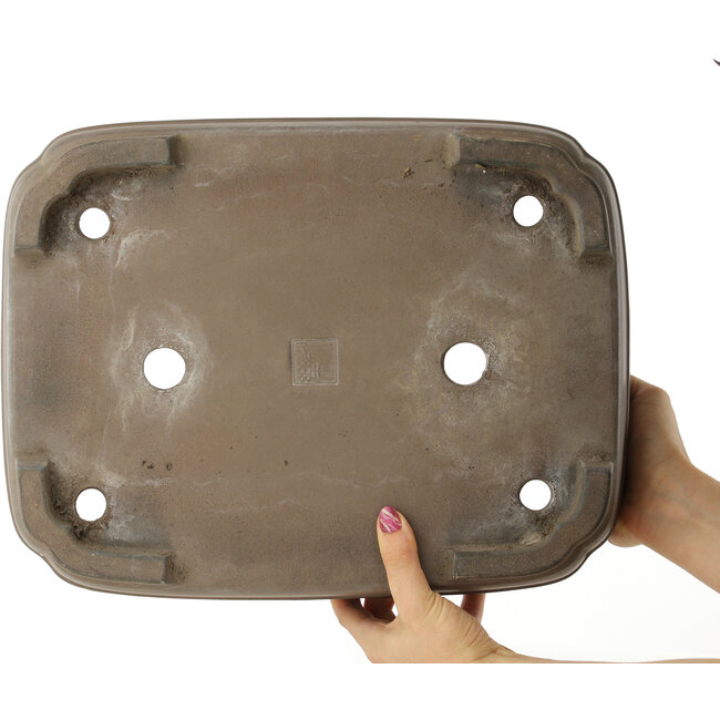 Maceta para bonsái ovalada sin esmaltar de Eiraku - 387 x 300 x 100 mm