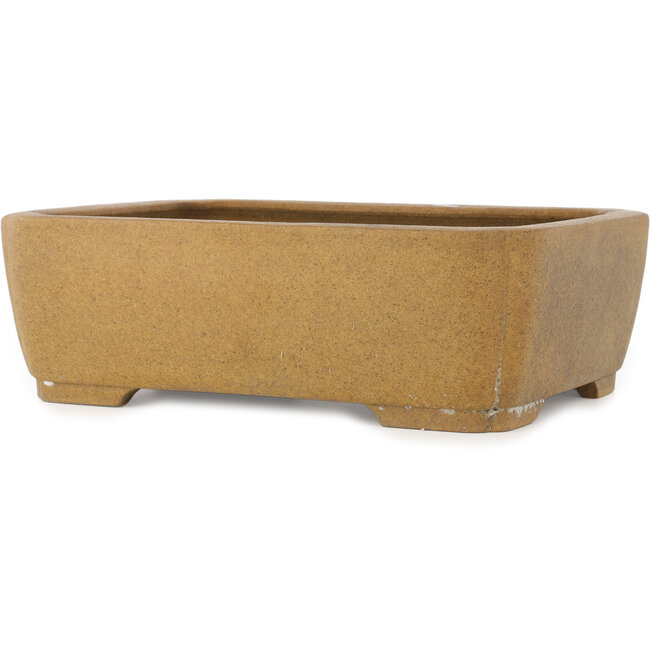 Vaso bonsai ovale non smaltato - 407 x 306 x 130 mm