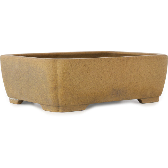 Oval unglazed bonsai pot - 407 x 306 x 130 mm