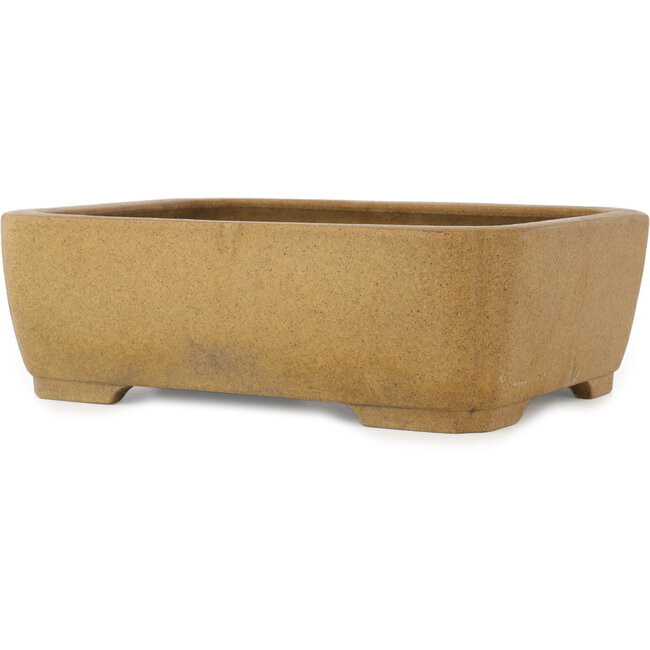 Vaso bonsai ovale non smaltato - 407 x 306 x 130 mm