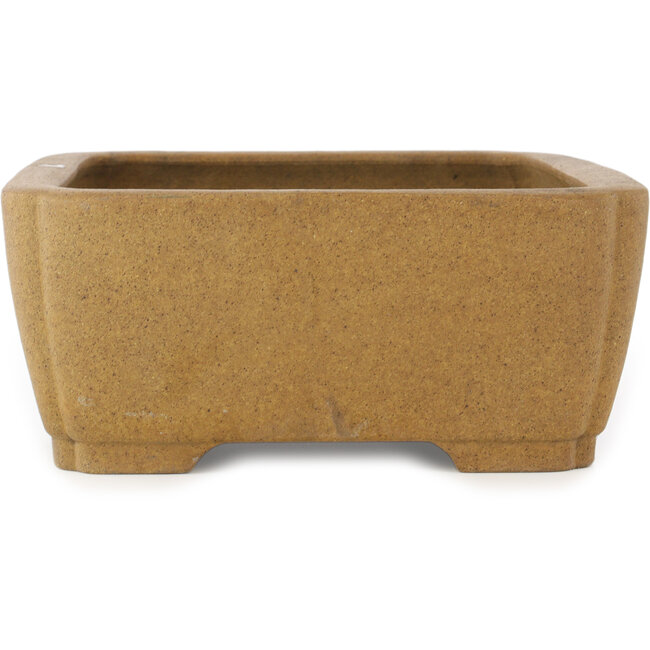 Vaso bonsai ovale non smaltato - 407 x 306 x 130 mm