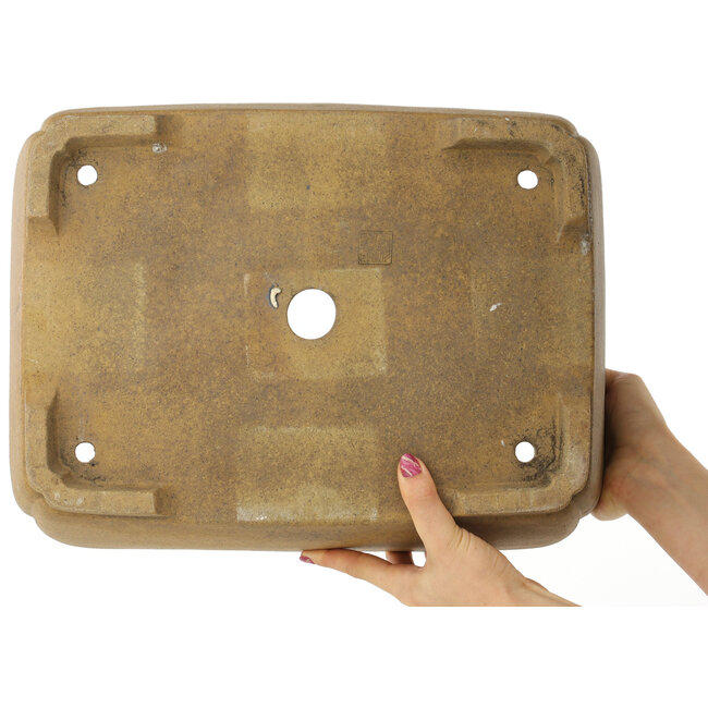 Maceta para bonsái ovalada sin esmaltar - 407 x 306 x 130 mm