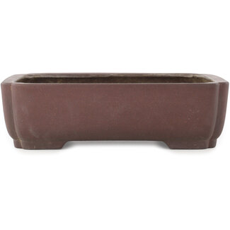  Yamaaki Vaso bonsai ovale non smaltato da 337 mm di Yamaaki, Tokoname, Giappone