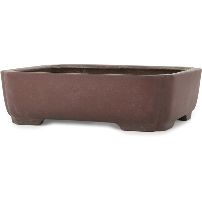 Vaso bonsai ovale non smaltato di Yamaaki - 337 x 270 x 95 mm