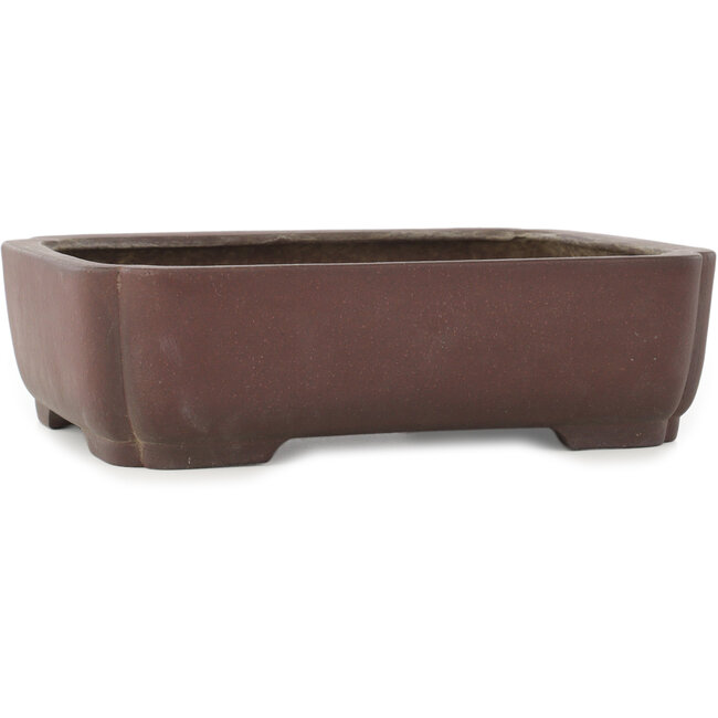 Maceta ovalada sin esmaltar para bonsái de Yamaaki - 337 x 270 x 95 mm