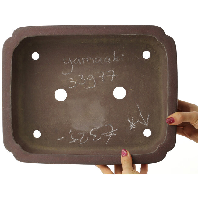Ovale ongeglazuurde bonsaipot van Yamaaki - 337 x 270 x 95 mm