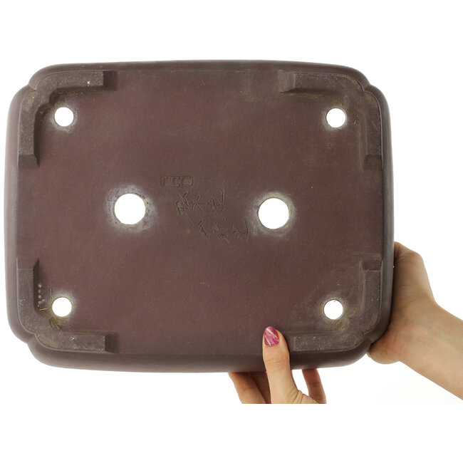 Maceta ovalada sin esmaltar para bonsái de Yamaaki - 337 x 270 x 95 mm