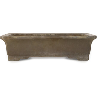 Senzan Pot à bonsaï rectangulaire non émaillé de 350 mm par Senzan, Tokoname, Japon
