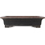 Rectangular unglazed bonsai pot by Kakuzan - 498 x 353 x 120 mm
