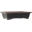Rectangular unglazed bonsai pot by Kakuzan - 498 x 353 x 120 mm