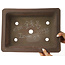 Maceta rectangular sin esmaltar para bonsái de Izumiya (Zenigo) - 400 x 300 x 105 mm