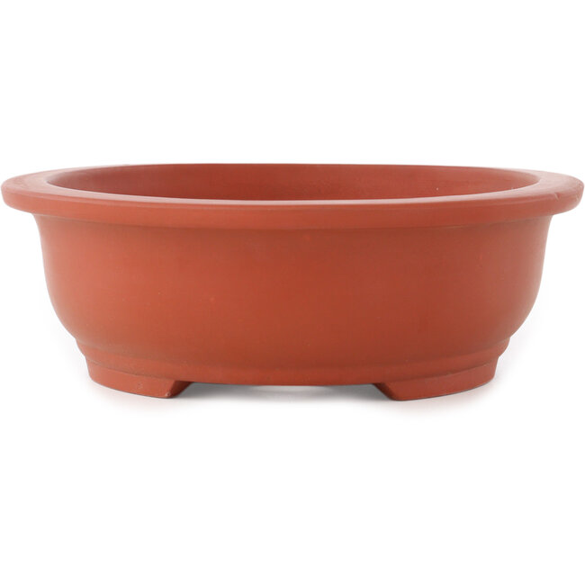 Pot à bonsaï ovale non émaillé - 355 x 265 x 85 mm