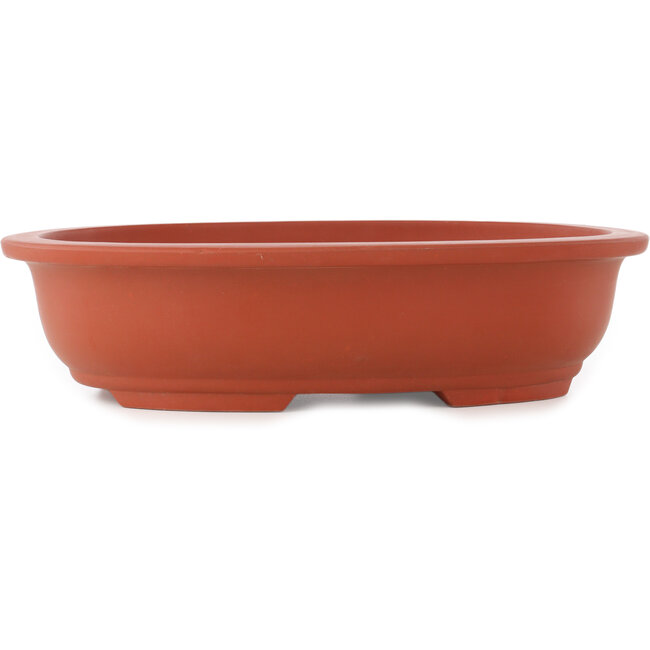 Oval unglazed bonsai pot - 355 x 265 x 85 mm