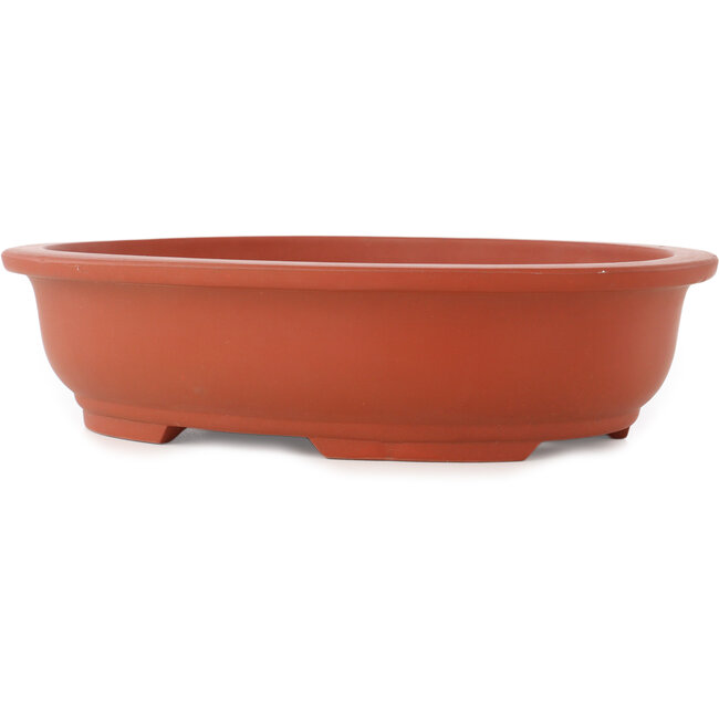 Pot à bonsaï ovale non émaillé - 355 x 265 x 85 mm