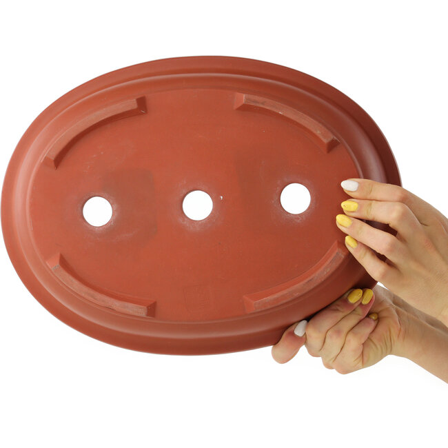 Pot à bonsaï ovale non émaillé - 355 x 265 x 85 mm