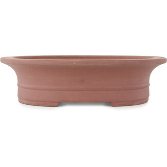 Seibun 357 mm oval unglazed bonsai pot by Seibun, Japan