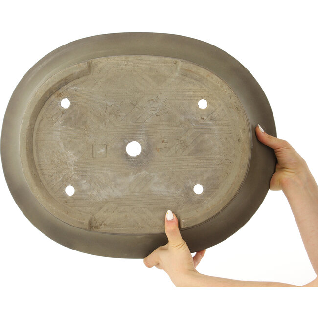 Pot à bonsaï ovale non émaillé de Seibun - 488 x 398 x 118 mm