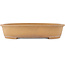 Ovale ongeglazuurde bonsai pot van Mazan - 514 x 400 x 105 mm