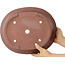 Pot à bonsaï ovale non émaillé de Seibun - 357 x 298 x 93 mm