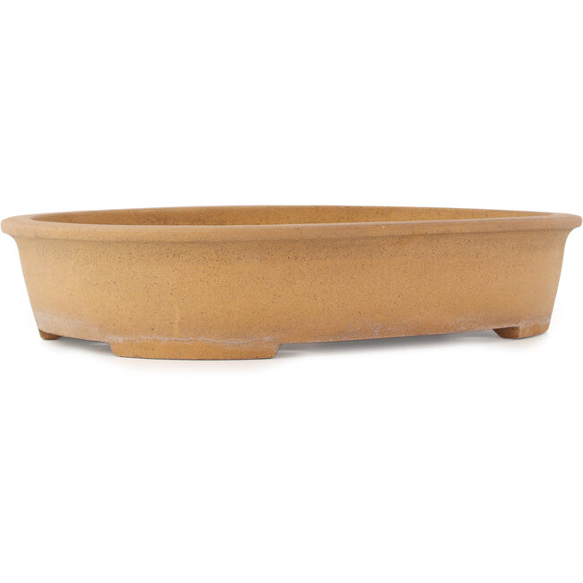Maceta para bonsái ovalada sin esmaltar de Mazan - 514 x 400 x 105 mm
