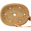 Pot à bonsaï ovale non émaillé de Mazan - 514 x 400 x 105 mm