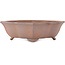 Pot à bonsaï Lotus non émaillé de Seizan - 315 x 275 x 93 mm