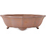 Lotus unglazed bonsai pot by Seizan - 315 x 275 x 93 mm