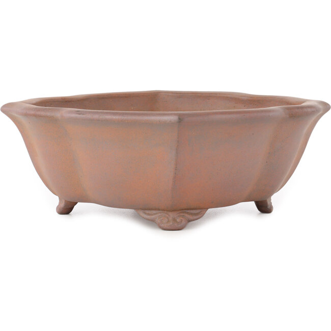 Lotus unglazed bonsai pot by Seizan - 315 x 275 x 93 mm