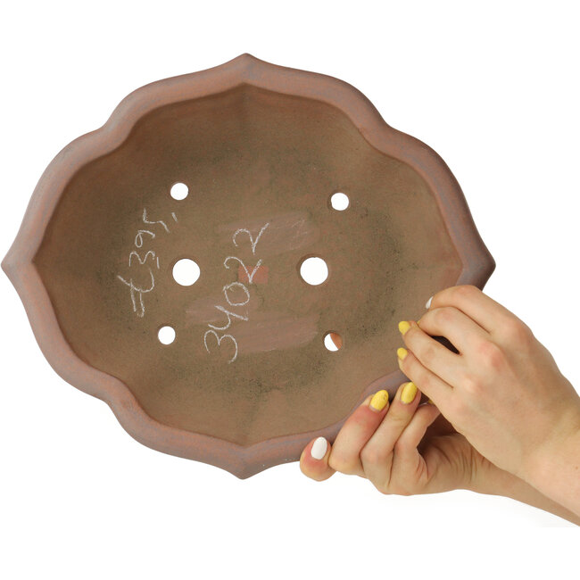 Maceta para bonsái sin esmaltar con forma de loto de Seizan - 315 x 275 x 93 mm