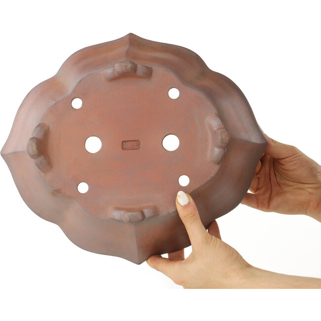 Pot à bonsaï Lotus non émaillé de Seizan - 315 x 275 x 93 mm